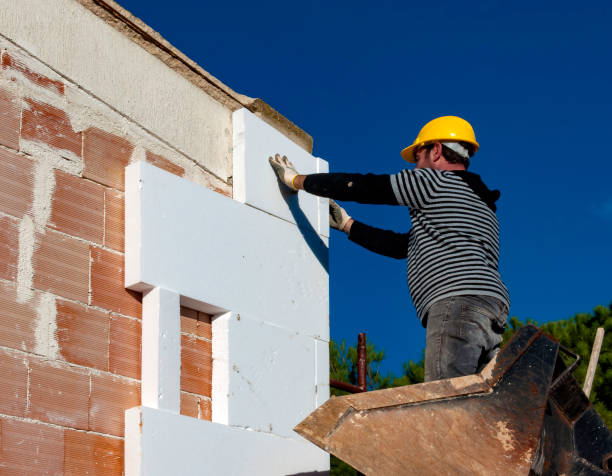 Best Cellulose Insulation  in Maysville, MO