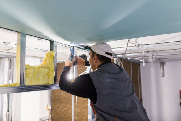 Best Insulation Contractor Near Me  in Maysville, MO