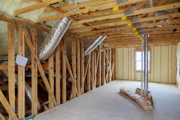 Best Wall Insulation Contractor  in Maysville, MO