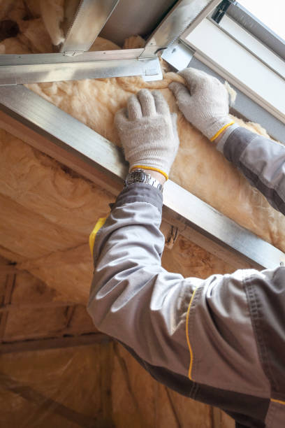 Best Best Insulation Companies  in Maysville, MO