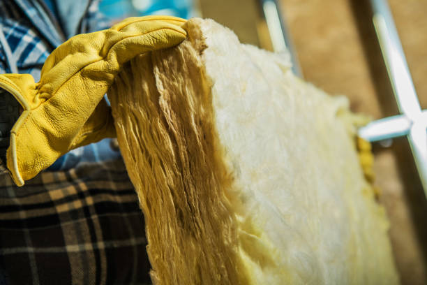 Best Spray Foam Insulation  in Maysville, MO