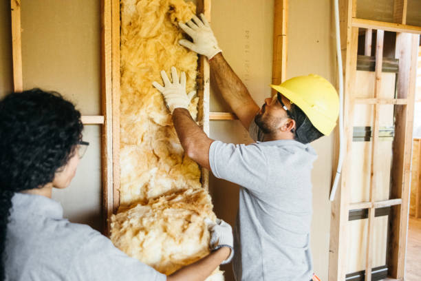 Best Attic Insulation Installation  in Maysville, MO