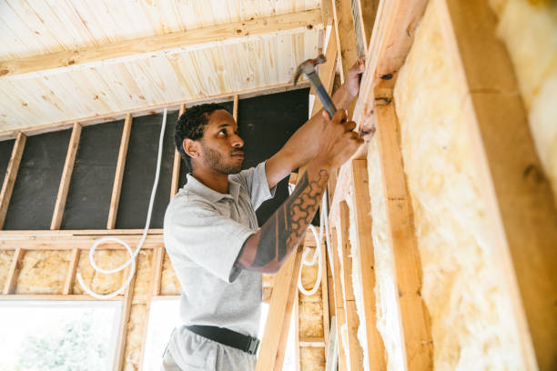 Best Soundproof Insulation Installation  in Maysville, MO