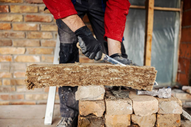 Best Home Insulation Services  in Maysville, MO