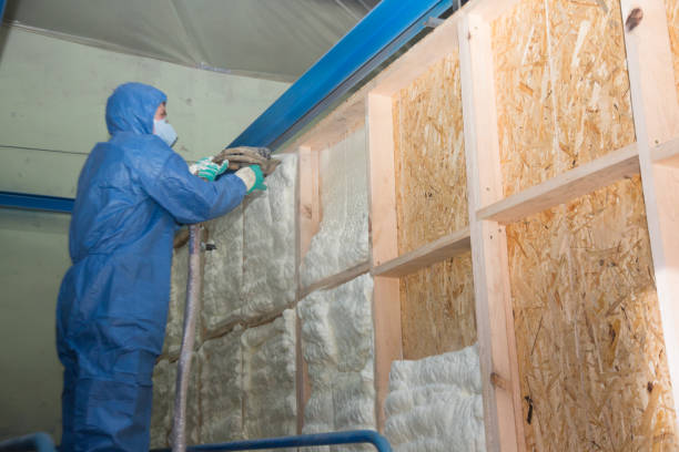 Best Garage Insulation Installation  in Maysville, MO