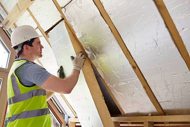 Best Insulation for New Construction  in Maysville, MO