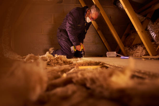 Best Professional Insulation Contractor  in Maysville, MO
