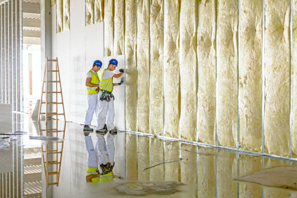 Best Blown-in Insulation  in Maysville, MO
